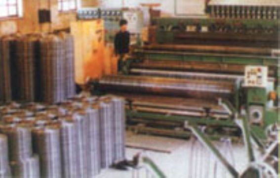 Welded Wire Mesh And Wire Mesh